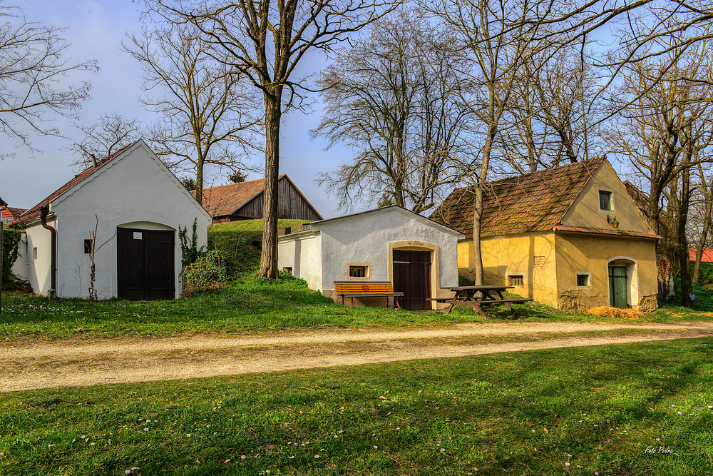 Frühlingsgrüße aus dem Weinviertel.