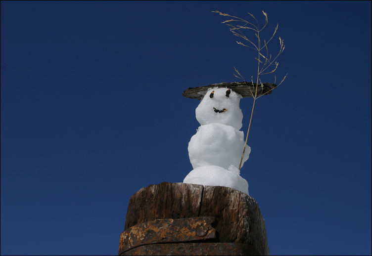 Frühlingsgrüße aus den Alpen