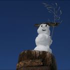 Frühlingsgrüße aus den Alpen