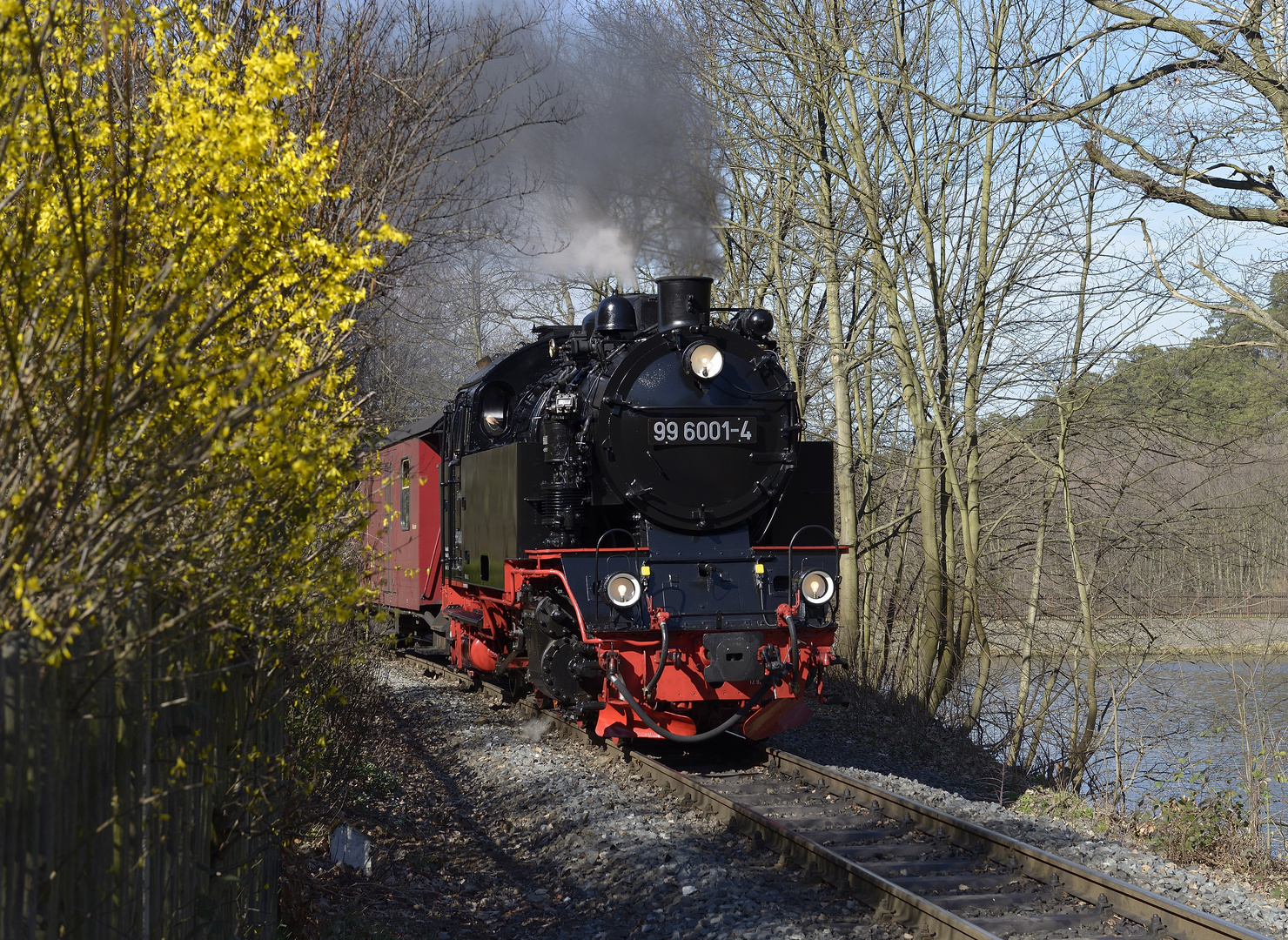 Frühlingsgrüße aus Gernrode..