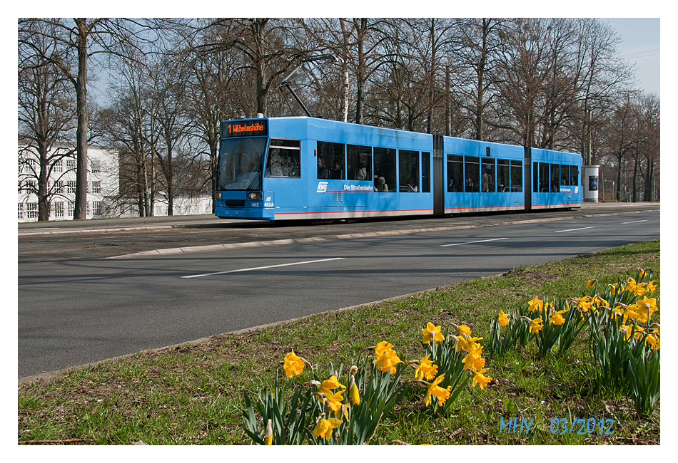 Frühlingsgrüße aus Kassel