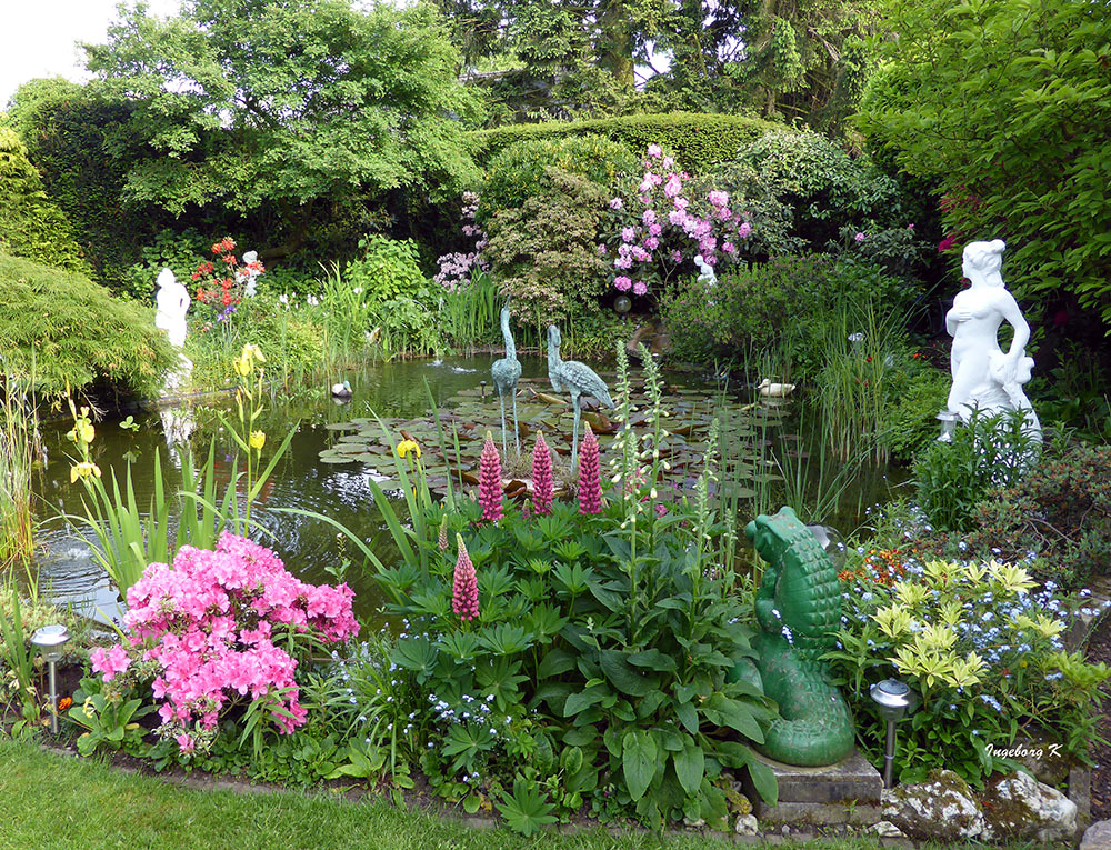 Frühlingsgrüße aus meinem Garten am Teich