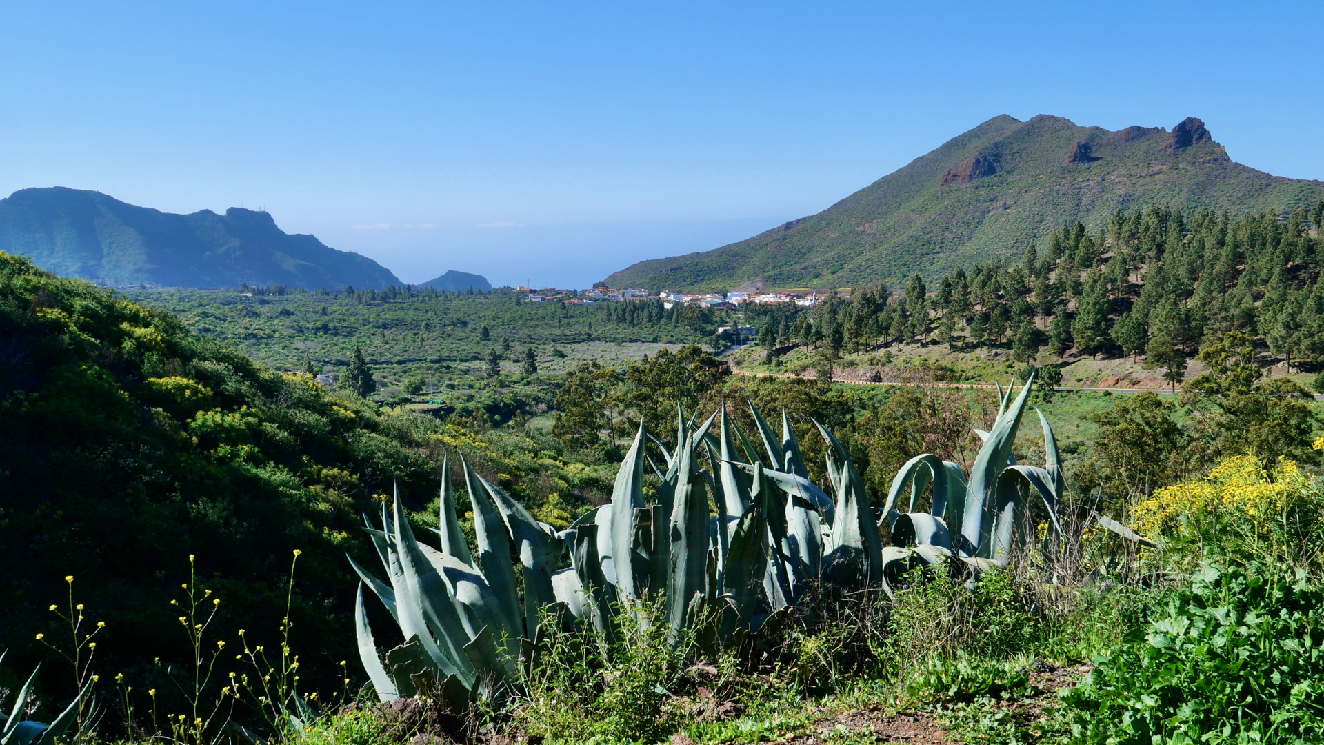 Frühlingsgrüße aus Teneriffa