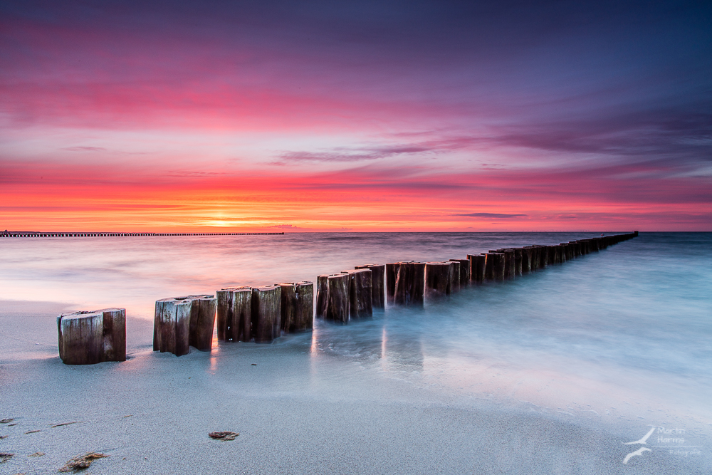 Frühlingsgrüße aus Zingst