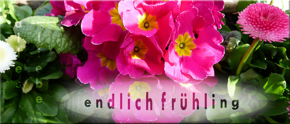 Frühlingsgrüsse