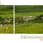 Frühlingsgruss