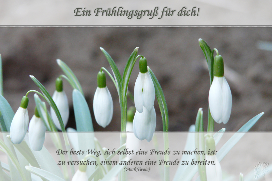 Frühlingsgruß