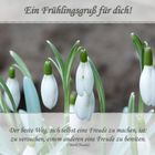 Frühlingsgruß