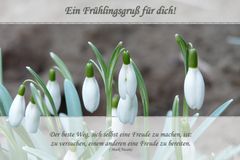 Frühlingsgruß