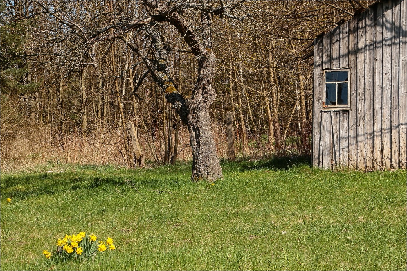 Frühlingsgruß aus besseren Zeiten