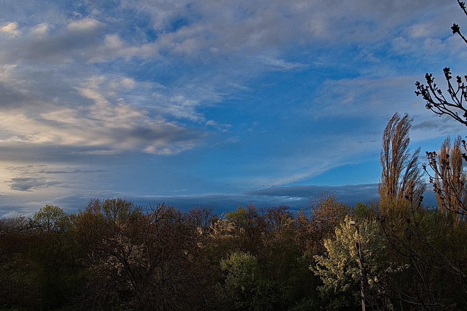 Frühlingshafte Abendstimmung