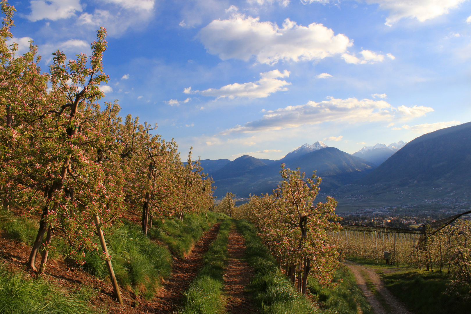 Frühlingshafte Abendstimmung