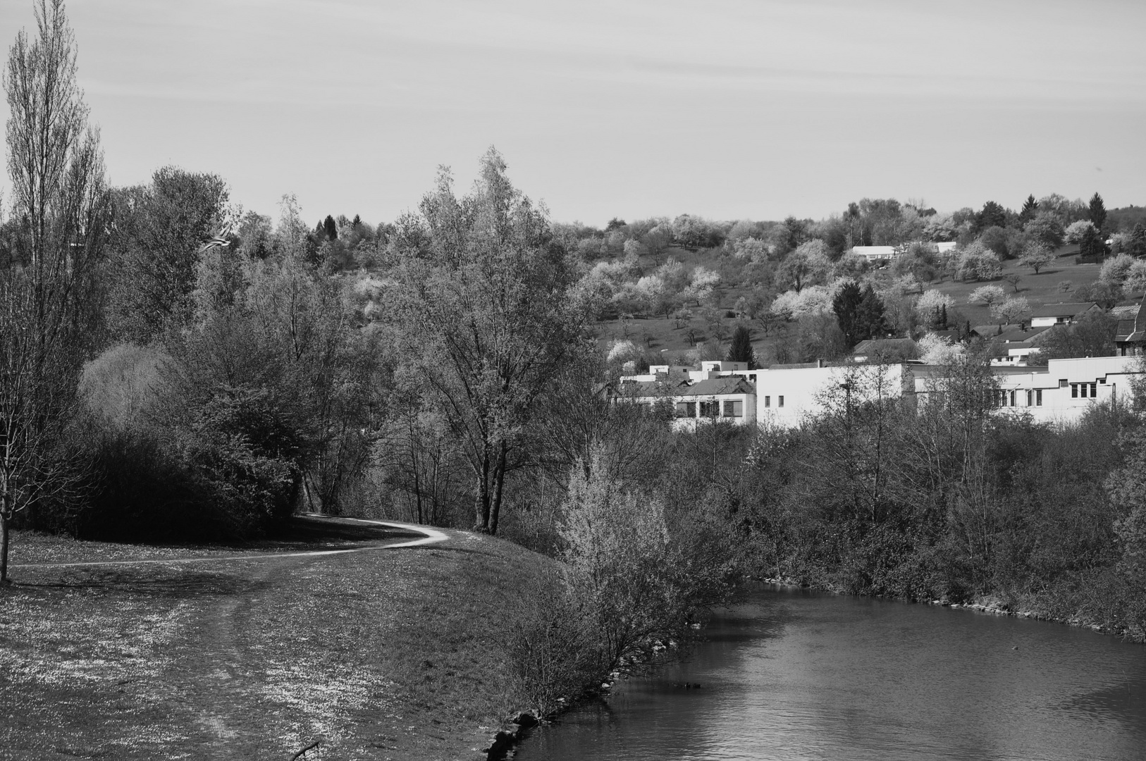 Frühlingshafte Ansichten am  Neckar entlang