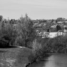 Frühlingshafte Ansichten am  Neckar entlang