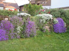 Frühlingshafte Blumenmauer