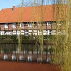 Frühlingshafte Frische auf dem Lande