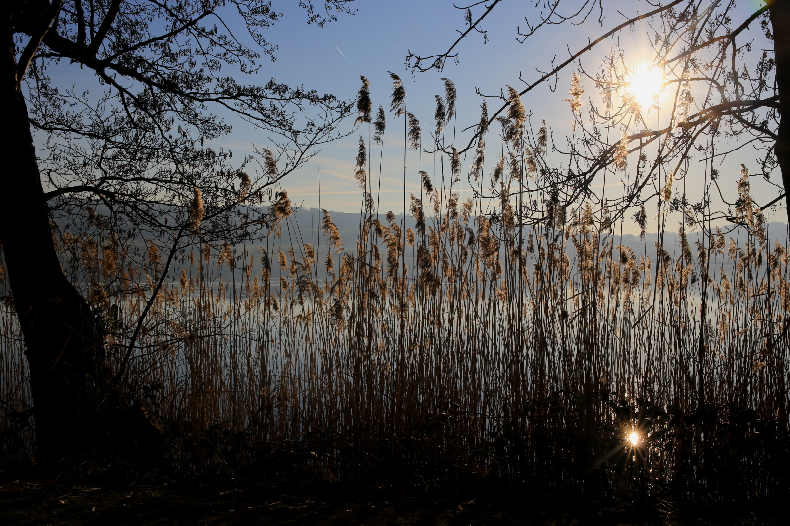 Frühlingshafte Temperaturen Ende Februar