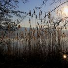 Frühlingshafte Temperaturen Ende Februar