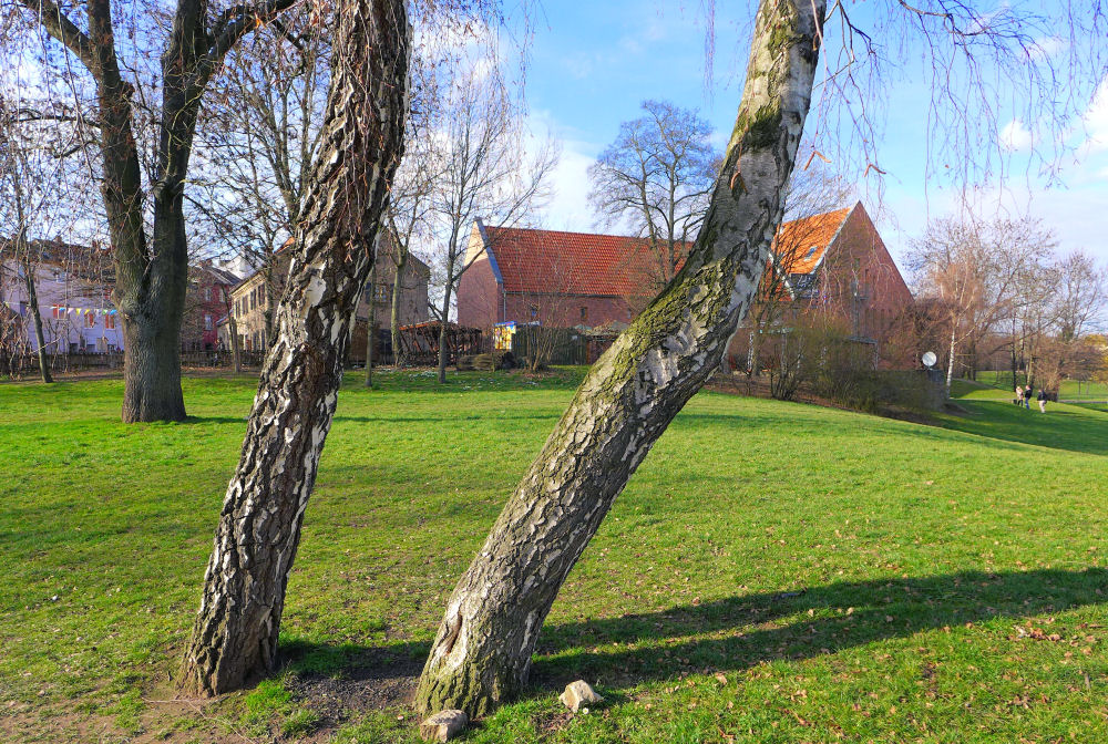 Frühlingshafter Anblick