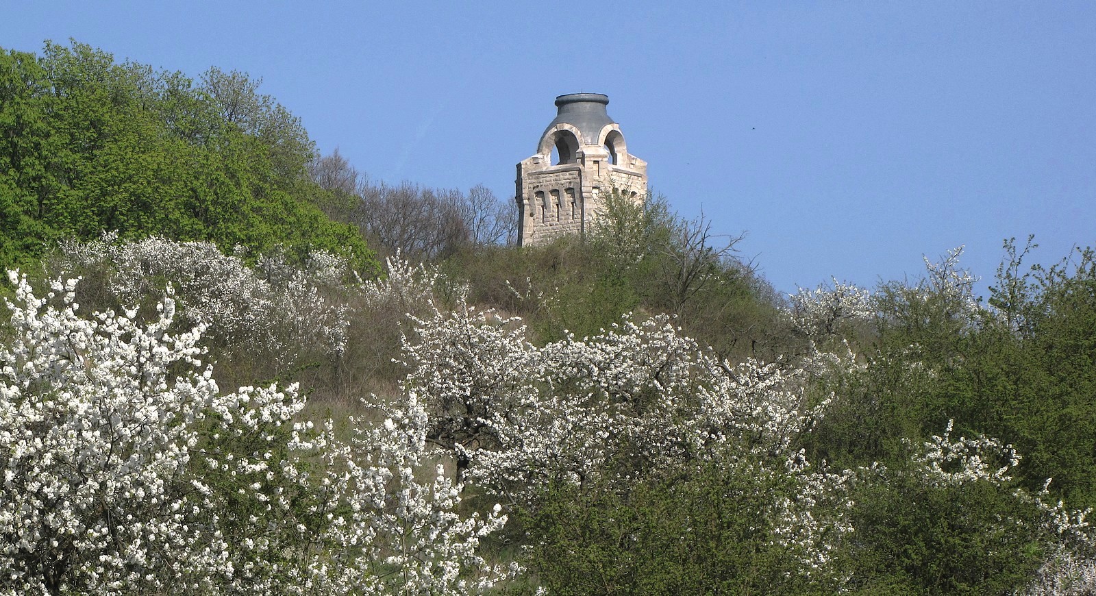 Frühlingshafter Blick...