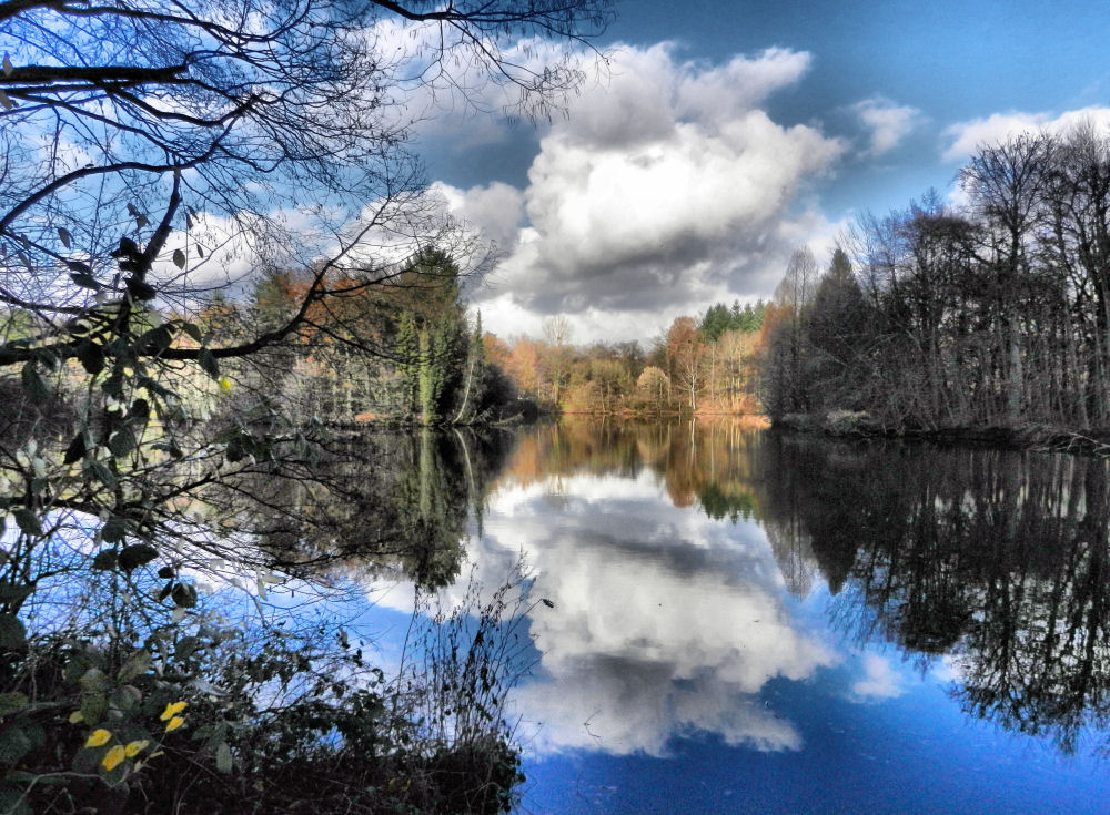 Frühlingshafter Dezember am kleinen See