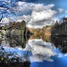 Frühlingshafter Dezember am kleinen See