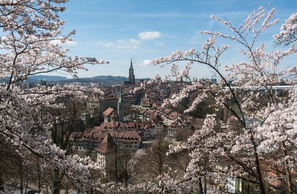 Frühlingshafter Durchblick