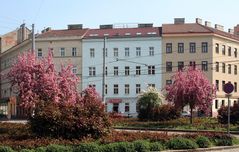 Frühlingshafter Gellertplatz