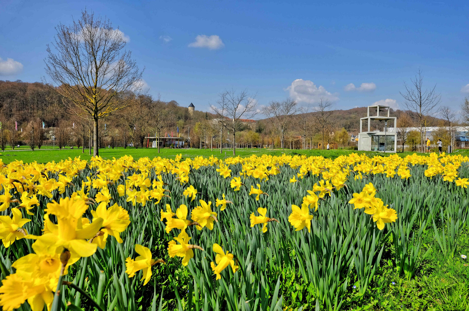 Frühlingshafter Hofwiesenpark Gera