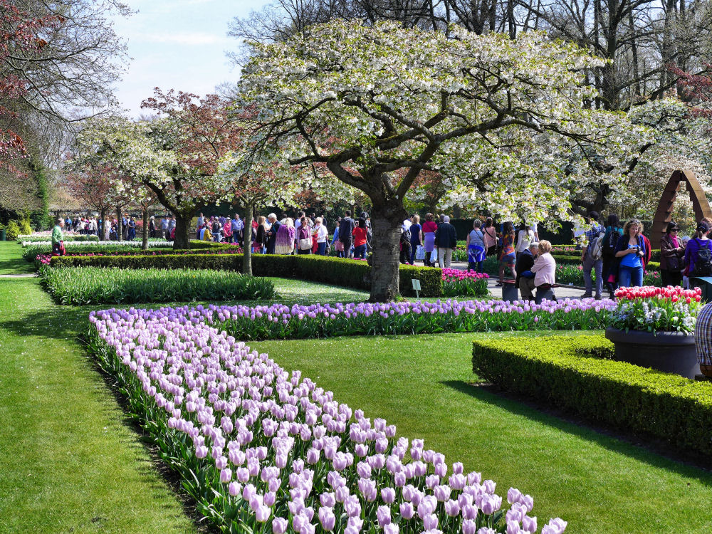 Frühlingshafter Keukenhof