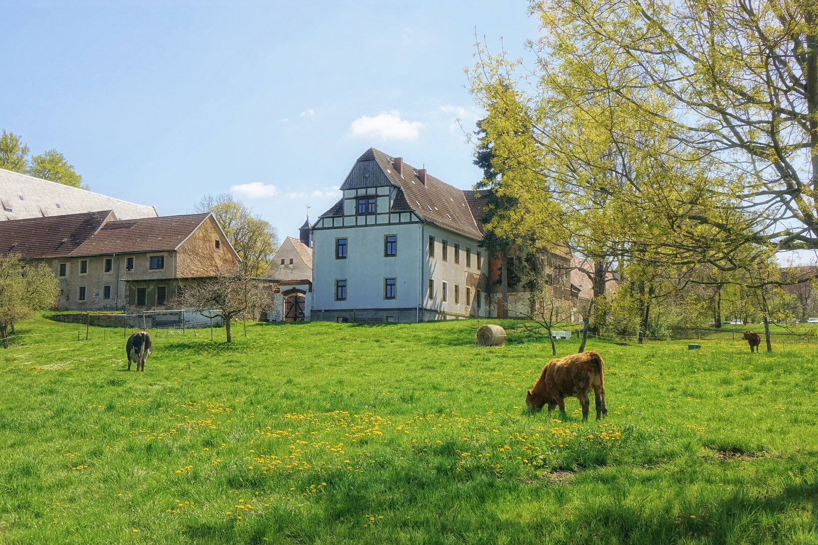  frühlingshafter Klosterpark Altzella