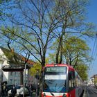 Frühlingshafter Kölner Bahnverkehr