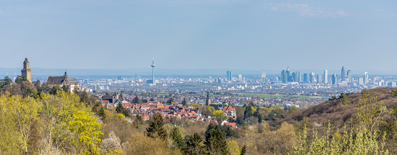 Frühlingshafter Taunusblick