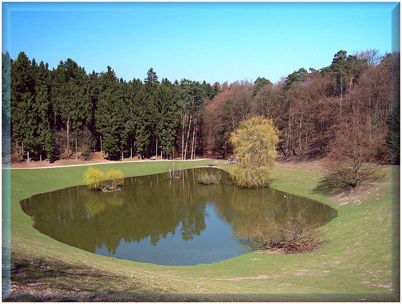 frühlingshafter Teich...