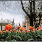 Frühlingshaftes Leoben