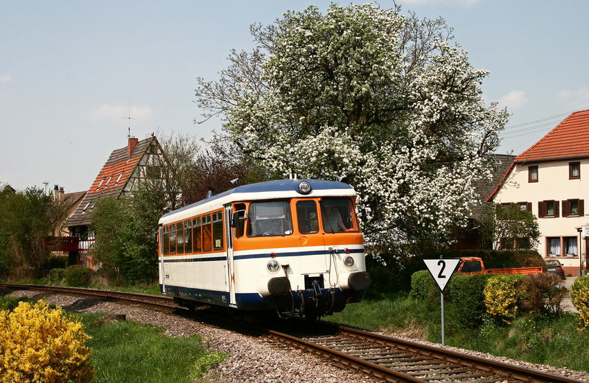 Frühlingshaftes Neckarbischofsheim