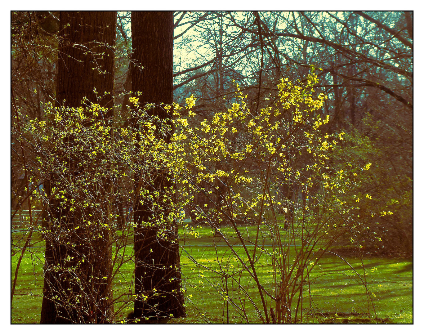 Frühlingshaftes Wetter