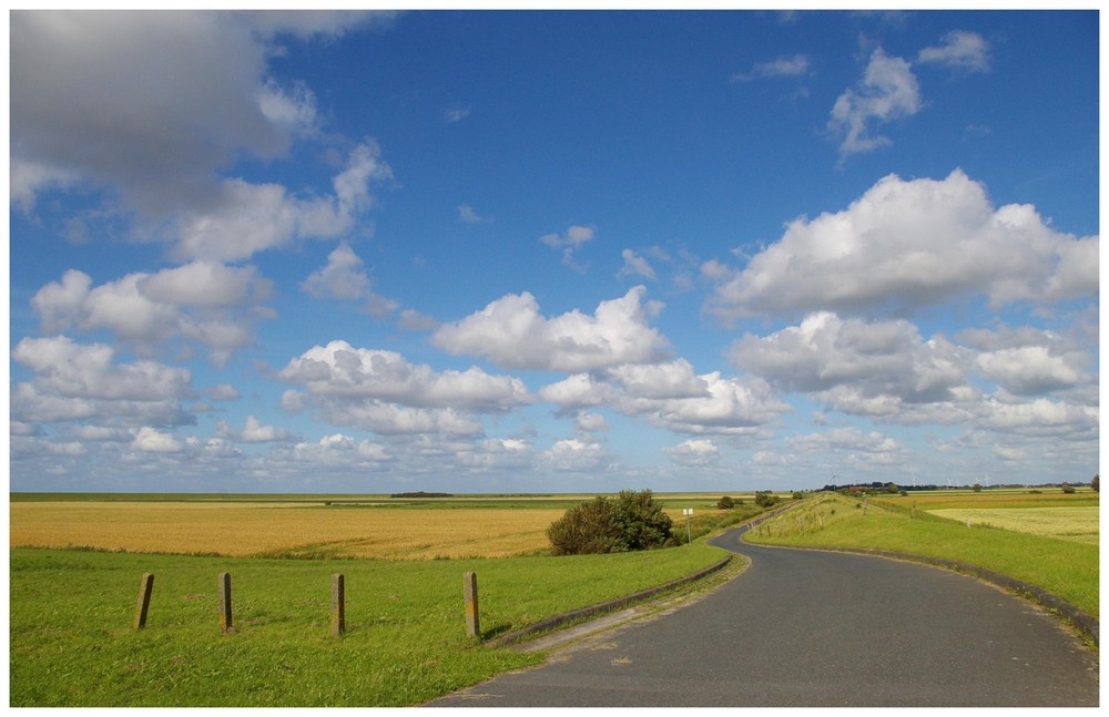 Frühlingshimmel in Mandelpolder Ostfriesland