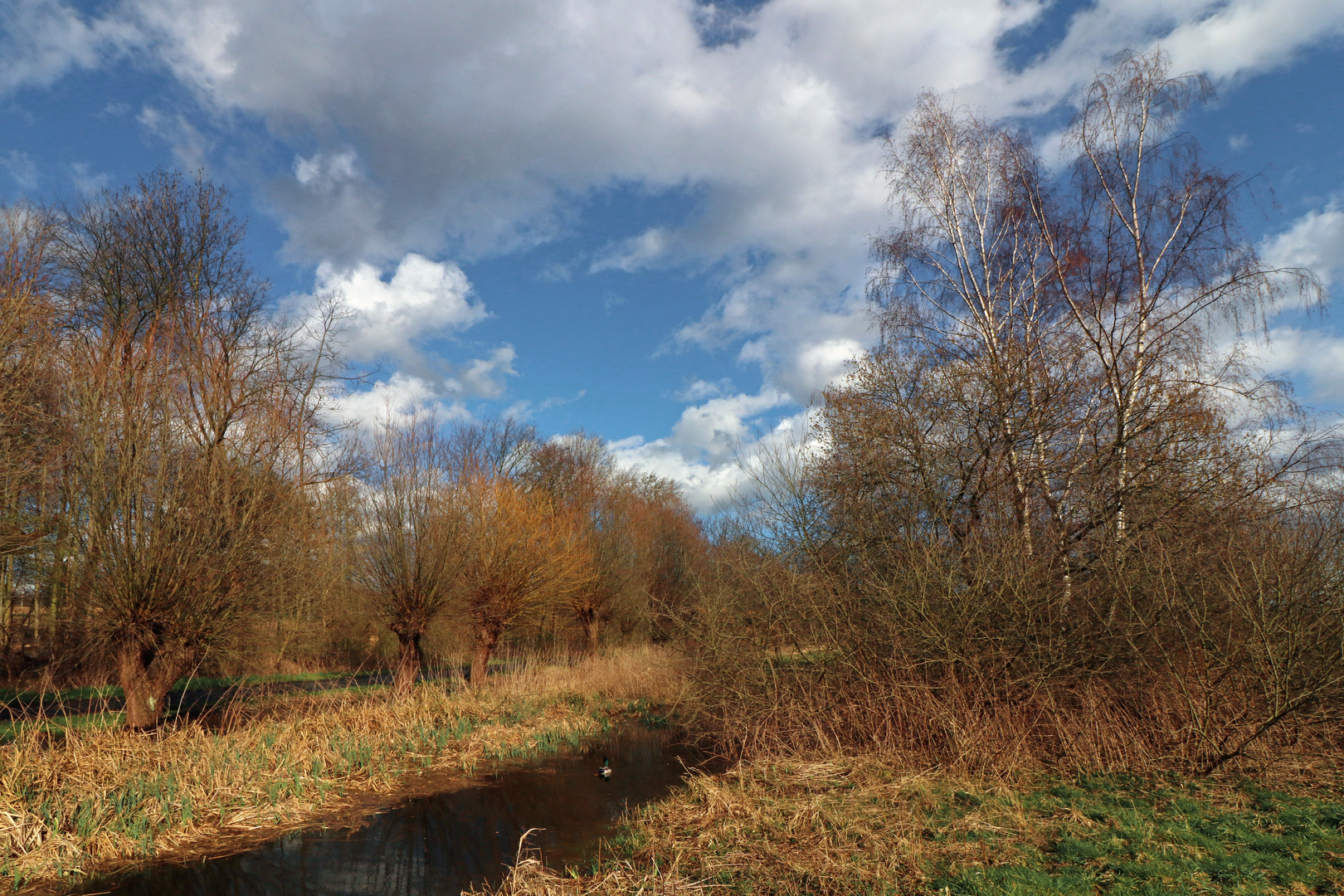 Frühlingshimmel überm Fischergraben