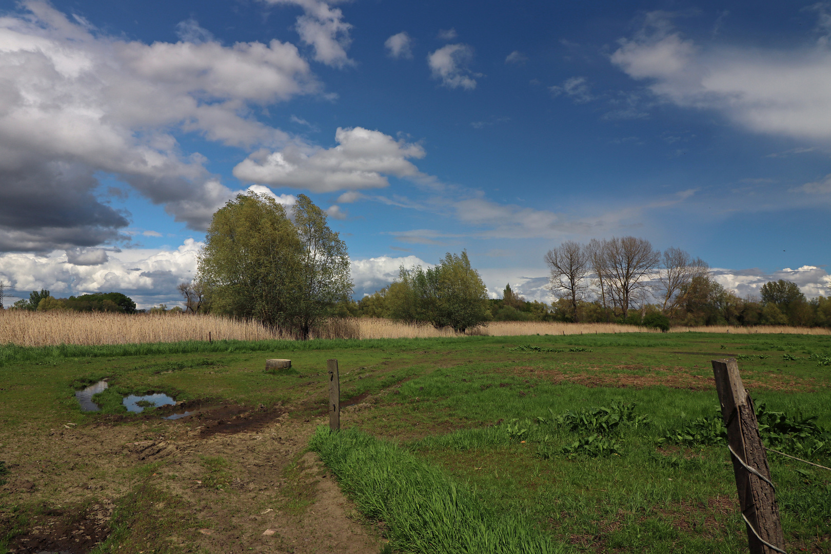 Frühlingshimmel überm Weideland