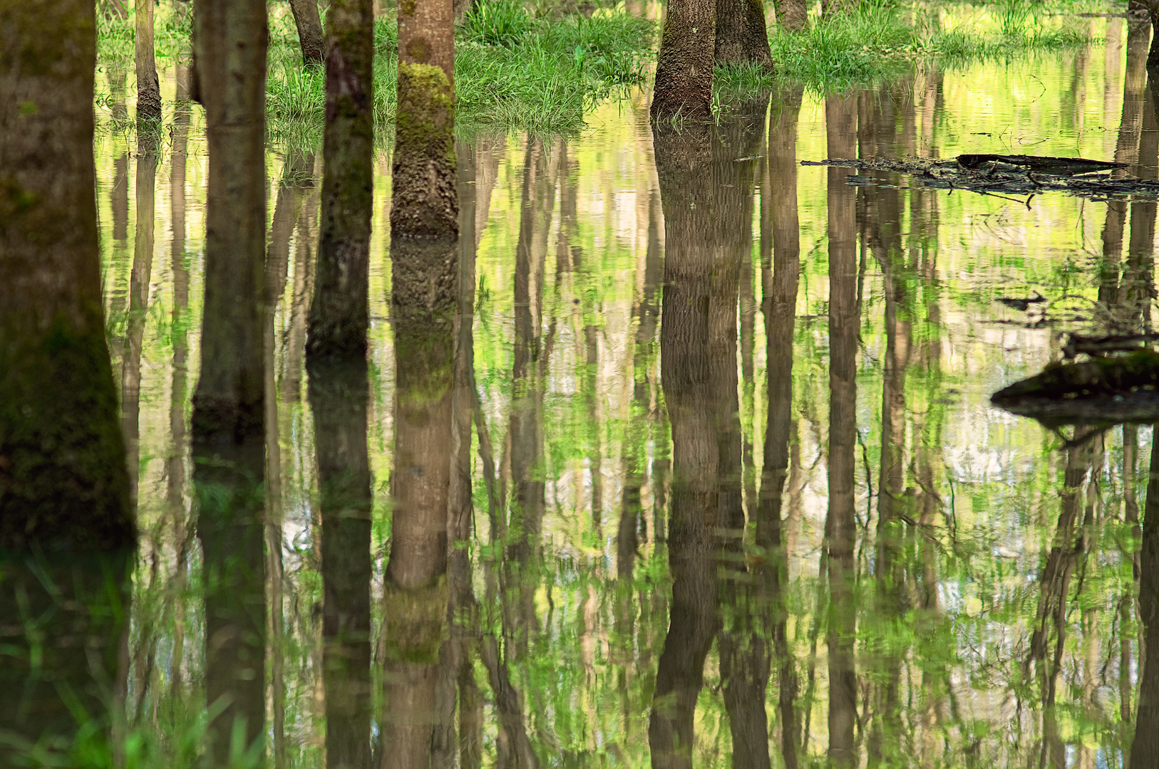 Frühlingshochwasser