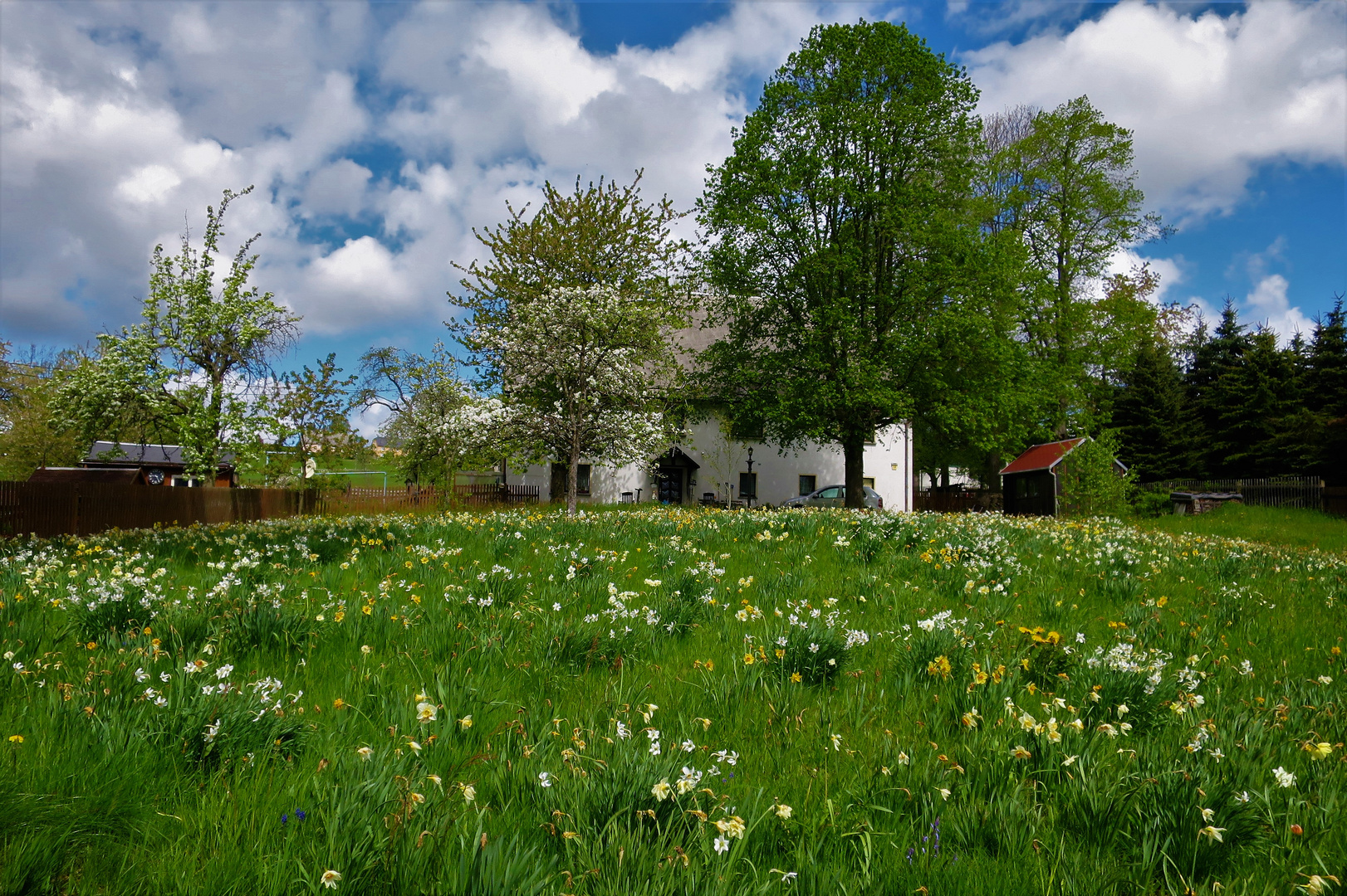 Frühlingsidylle 