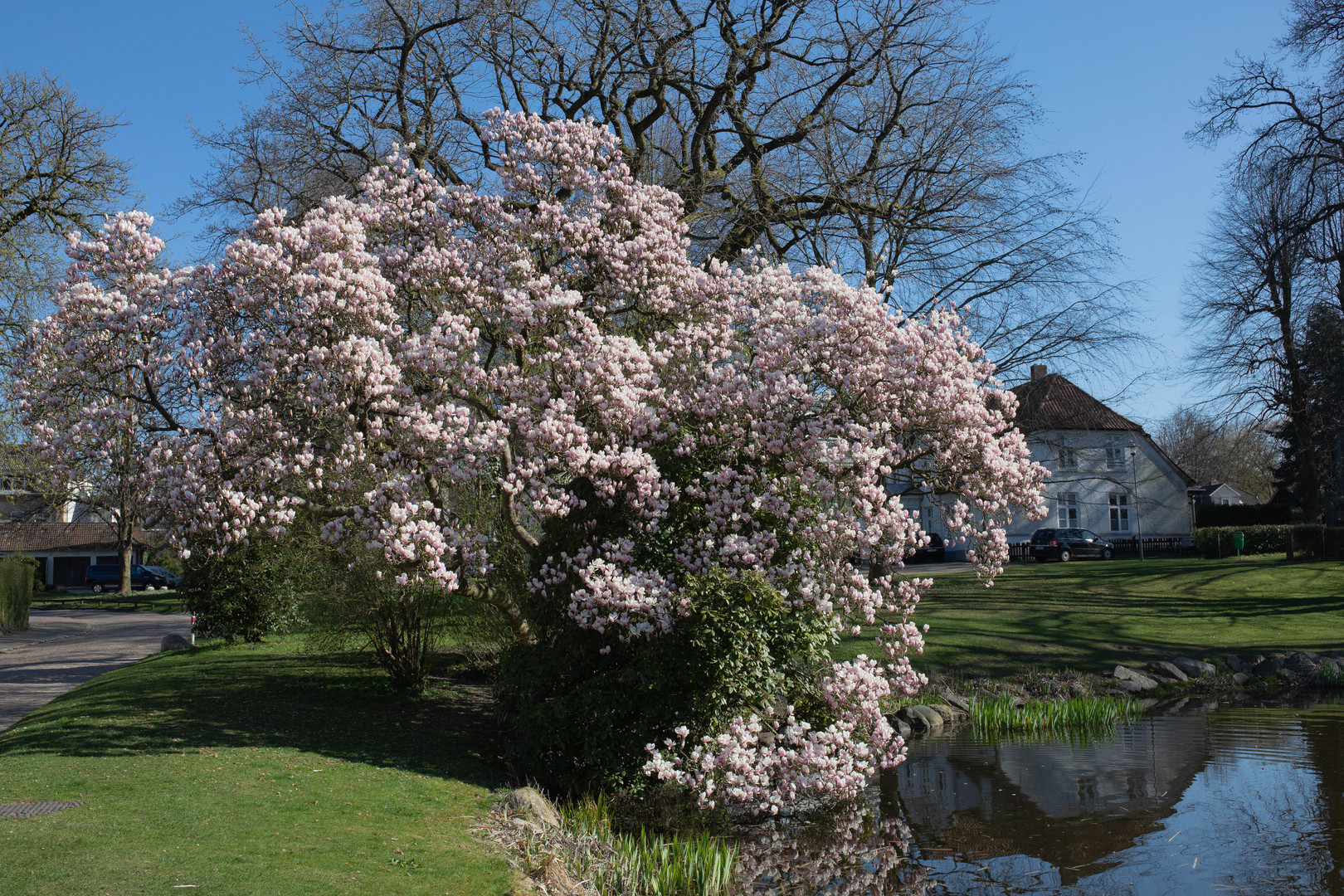 Frühlingsidylle