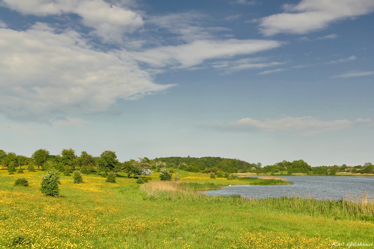 Frühlingsidylle am Winderatter See