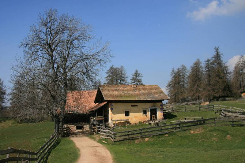 Frühlingsidylle auf dem Tschögglberg (reloaded)