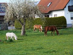 Frühlingsidylle