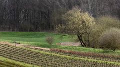 Frühlingsidylle im Kohlenpott