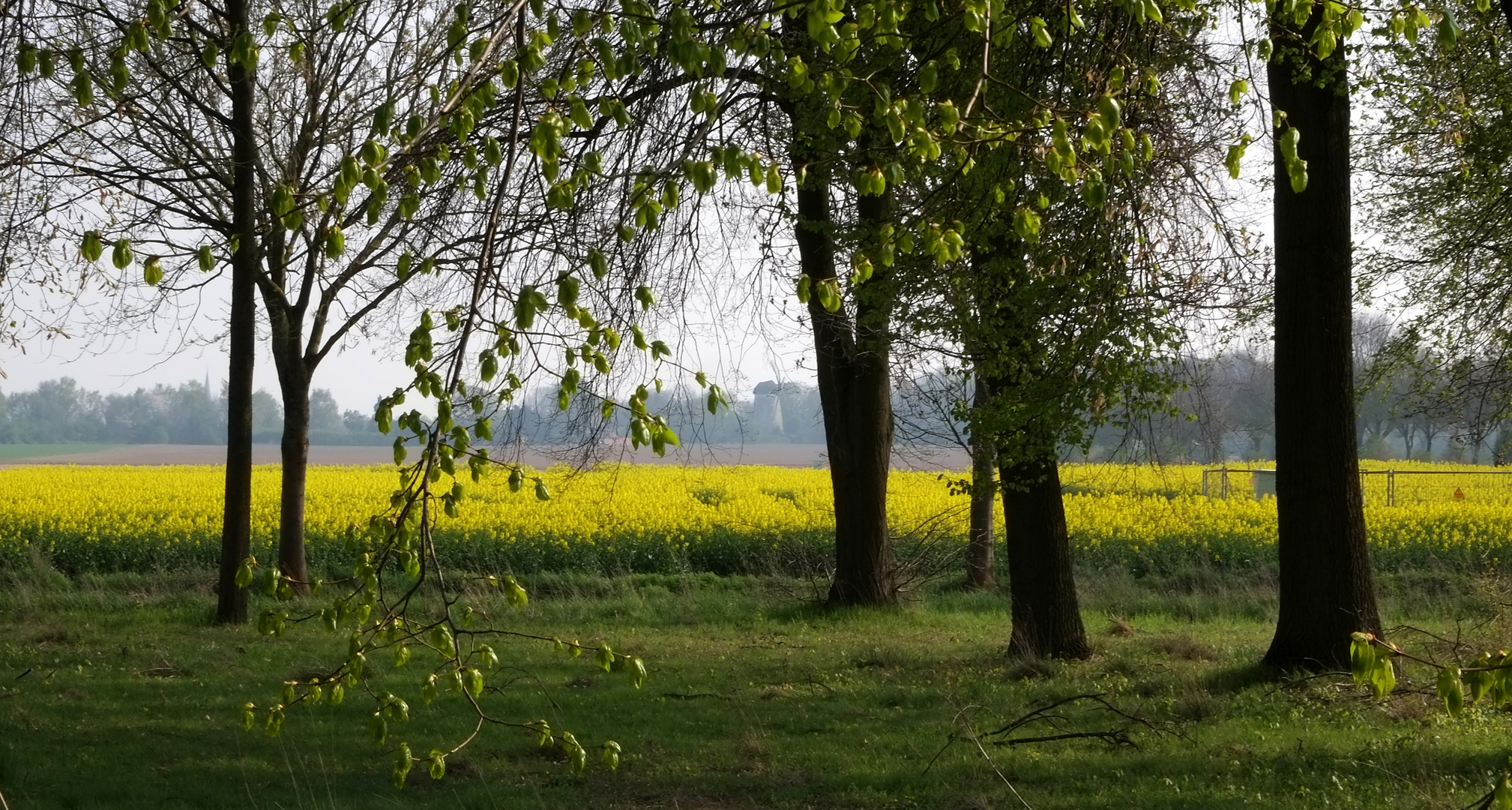 Frühlingsidylle in Immerath