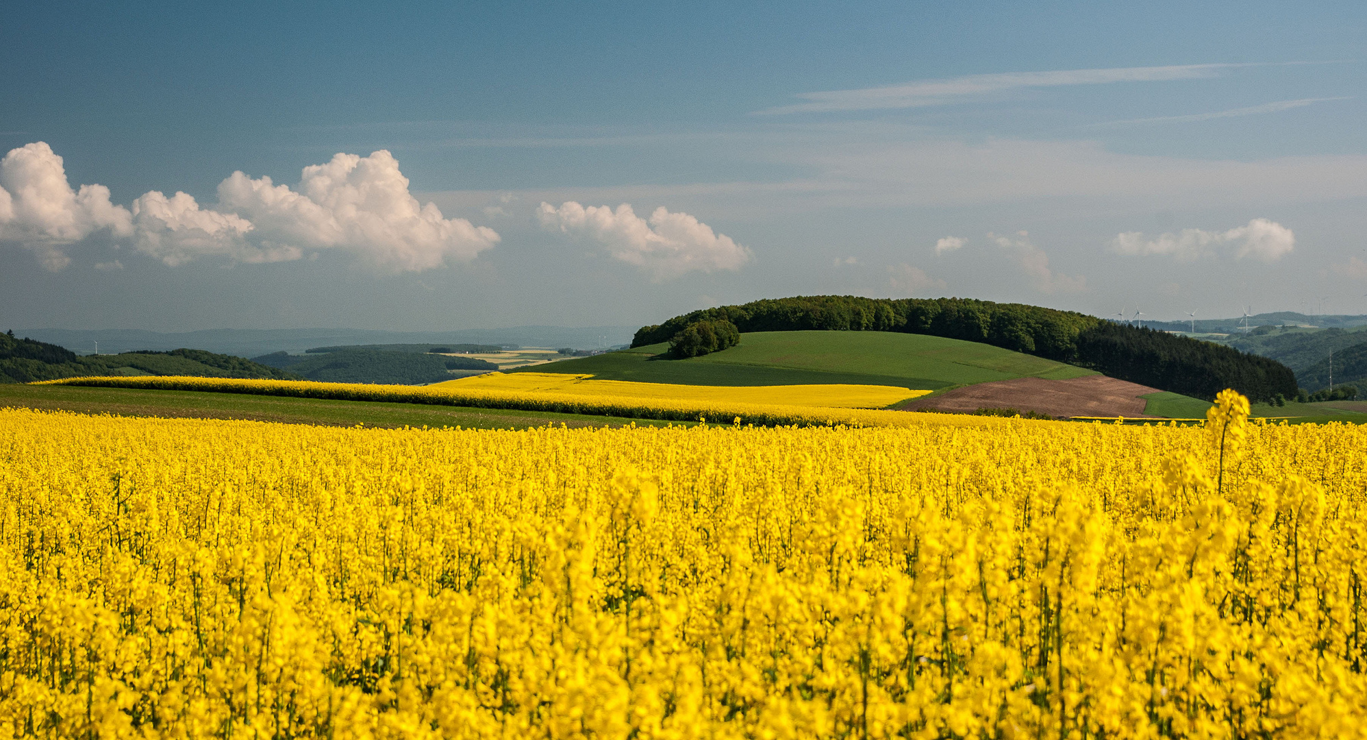 Frühlingsimpression