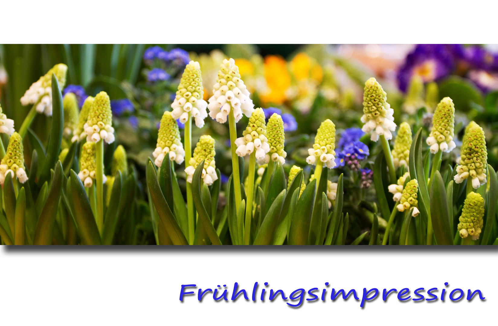 Frühlingsimpression